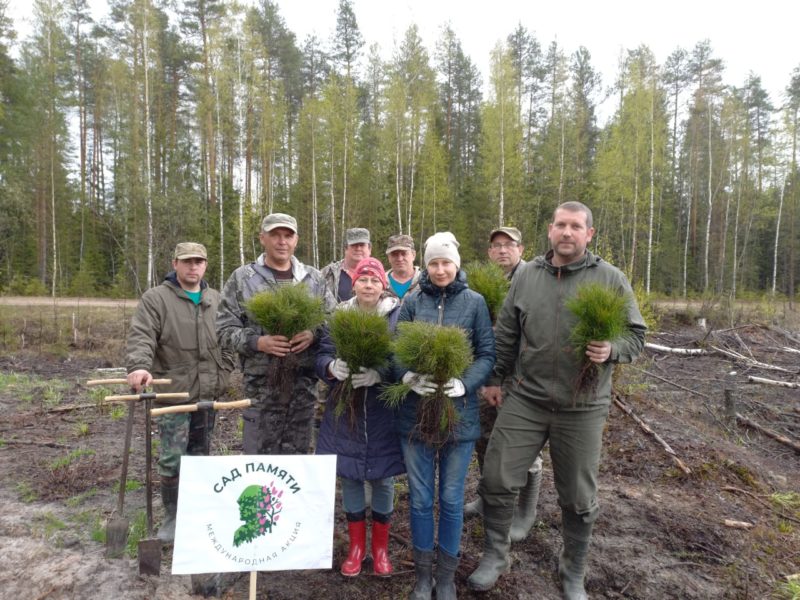 Международная  акция: Шумят над Россией леса и сады