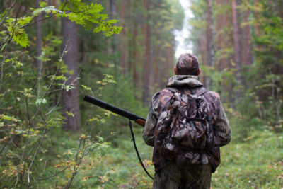 На части территорий региона введён запрет на охоту