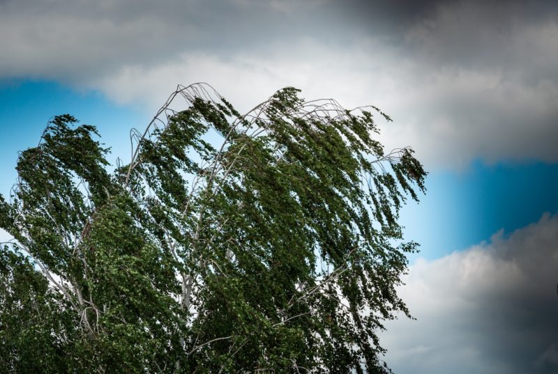 В Костромской области прогнозируется гроза и усиление ветра