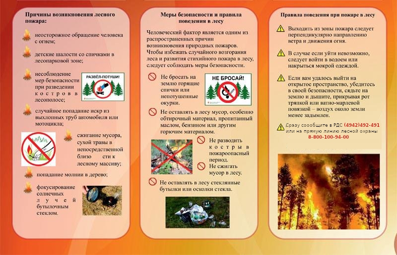 Жителей Костромской области призывают неукоснительно соблюдать правила пожарной безопасности в лесах при сборе дикоросов