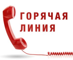 «Горячая телефонная линия» по вопросам нарушения законодательства о выборах