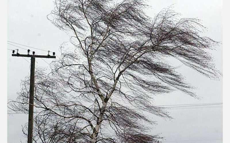 ВНИМАНИЕ: В Костромской области прогнозируется усиление ветра до 17 м/с
