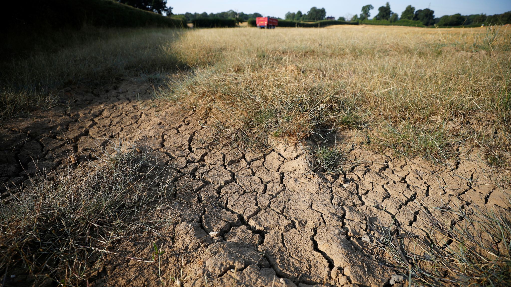 Как дела, АПК? Засуха: кормозаготовка и урожайность под угрозой