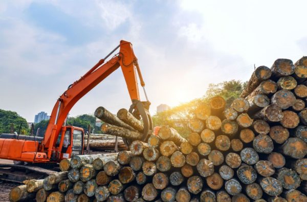 Регион заручился поддержкой вице-премьера Правительства в вопросе финансирования лесной отрасли